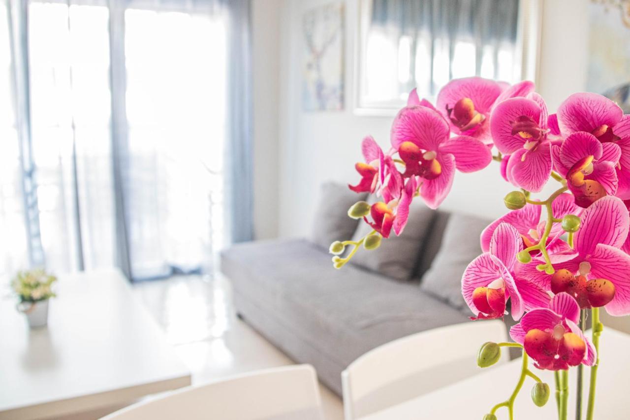 Recogidas Apartment 23 格拉纳达 外观 照片